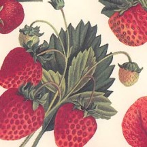 Strawberries and Leaves Italian Paper ~ Tassotti